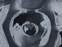 Weber Willy - Apollo 1970